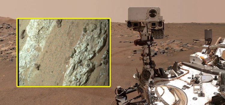 La NASA anuncia el descubrimiento de vida en Marte con un alto grado de confianza
