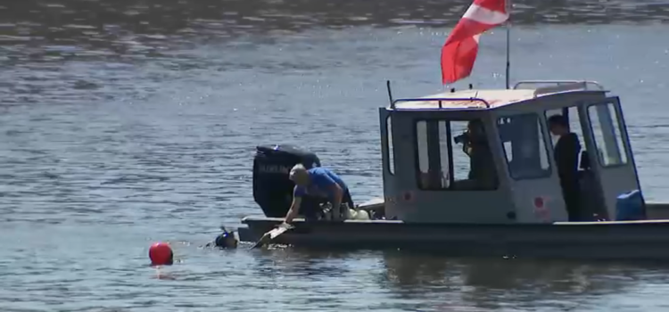 Encuentran casi 100 autos en el río Chicago en medio de la búsqueda de una pareja desaparecida